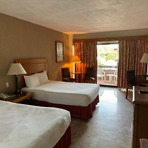 Double Room Mountain View